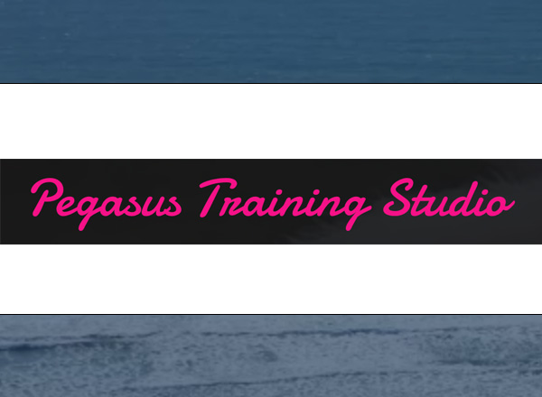 Pegasus Training Studio logo